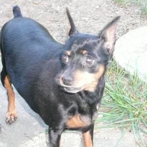 Meet your Posher, Joann